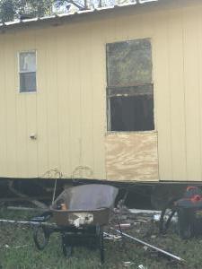 Photo Nov 11, 1 07 47 PM