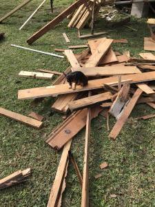 Photo Nov 11, 7 38 26 AM